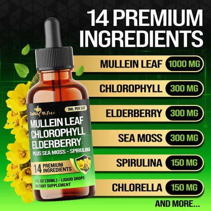 14in1 Mullein Liquid Drops – Immune & Respiratory Support, 30-Day, 1 fl oz