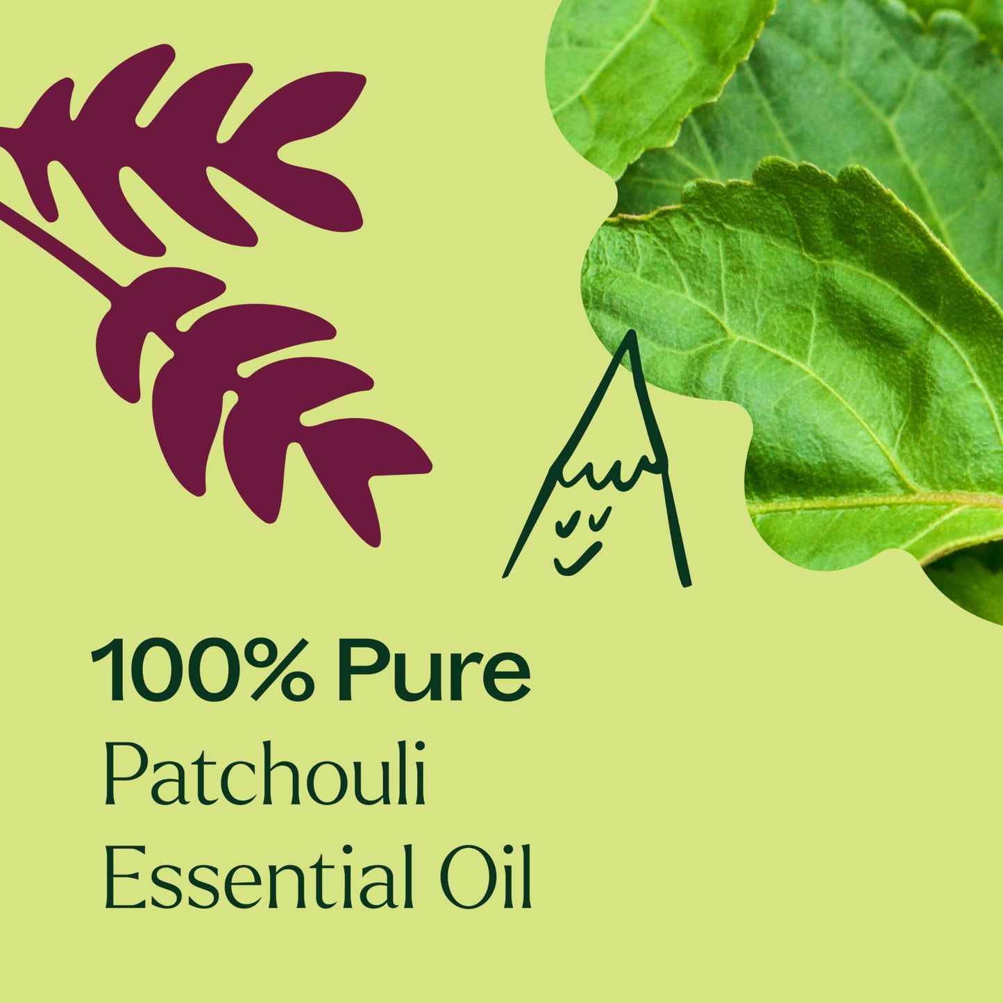 Plant Therapy Patchouli Essential Oil 100% Pure — Therapeutic Grade, 10 mL