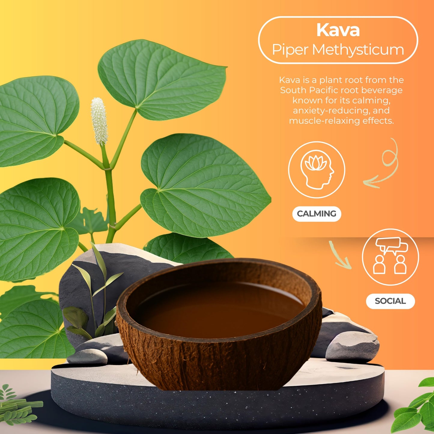 Peach on the Beach Kava Seltzer – Gluten-Free, Vegan, Low-Calorie | 12 oz Cans (4-Pack)