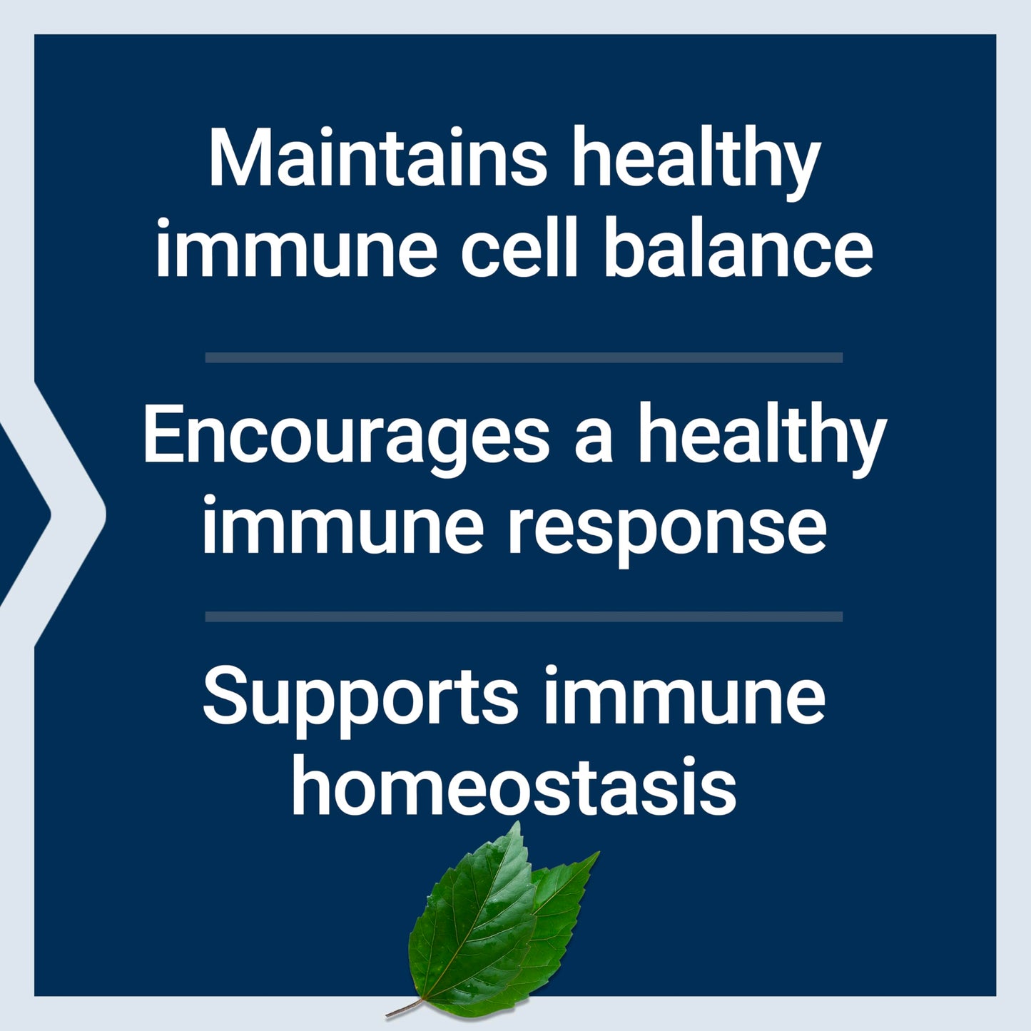 Peony Immune by Life Extension – White Peony Root Immune Support, Gluten-Free, Non-GMO, 60 Capsules