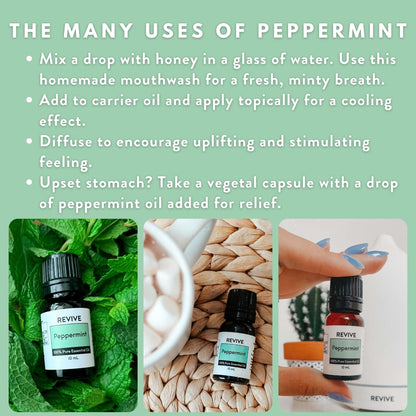 Peppermint Essential Oil – 100% Pure Therapeutic Grade | Revive Essential Oils