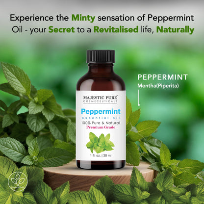 Majestic Pure Peppermint Essential Oil - 100% Pure & Natural, 1 Fl Oz