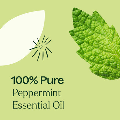 Plant Therapy Peppermint Essential Oil 100 mL – 100% Pure, Undiluted