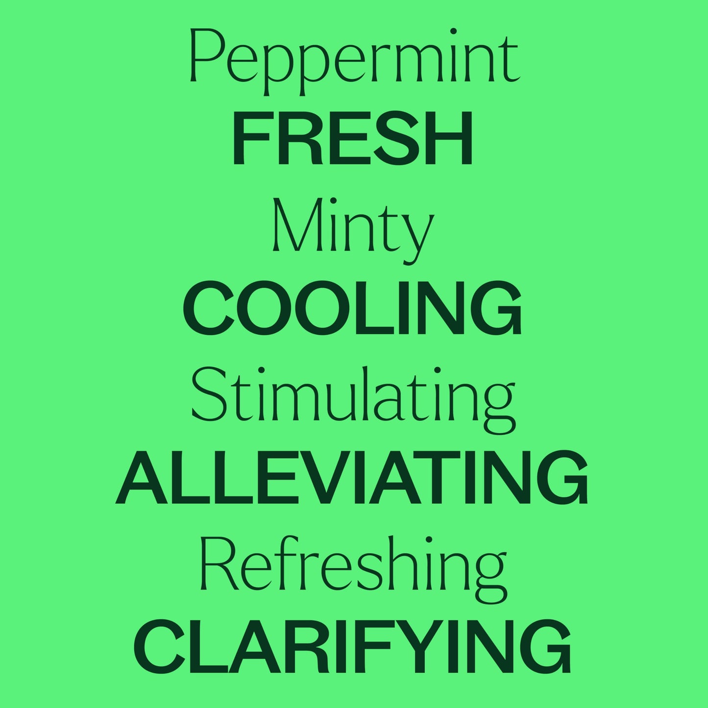 Plant Therapy Peppermint Essential Oil 100 mL – 100% Pure, Undiluted
