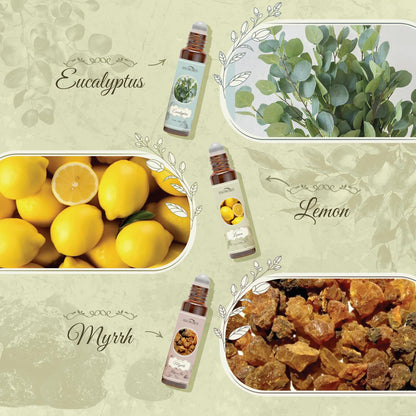 Essential Oils Roll-On Set – 6x10ml Aromatherapy Oils (Lavender, Peppermint, Frankincense, Eucalyptus, Lemon, Myrrh)