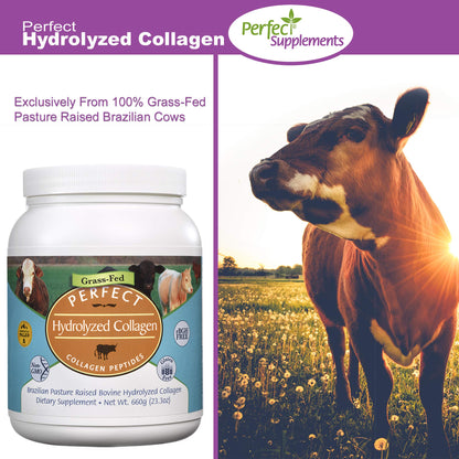 Perfect Hydrolyzed Collagen Powder 660g – All Natural, Brazilian Pasture Raised – 2 Pack | Perfect Supplements