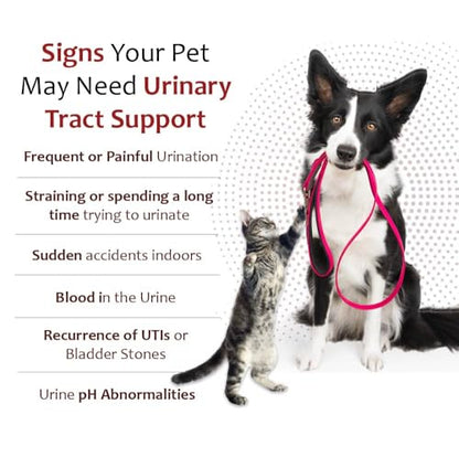 Pet Health Solutions K-Plus Potassium Gluconate Renal Gel Plus Cranberry & EPA for Dogs & Cats – Vet-Approved Renal Support Gel (6 Pack)