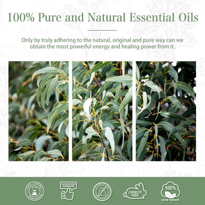PHATOIL 100ML Eucalyptus Essential Oil | Diffuser, Soap & Candle Making – 3.38 fl oz