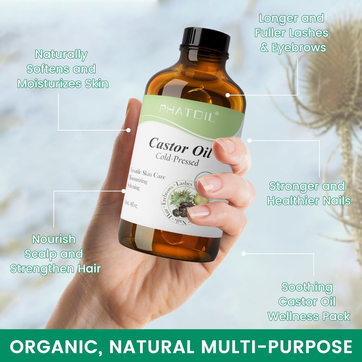 PHATOIL Castor Oil Organic Cold-Pressed 118 ml (4 oz) | Hair Growth, Lashes & Brows