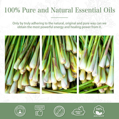 PHATOIL 100ml Citronella Essential Oil – Aromatherapy, Diffusers, DIY Candles & Soap