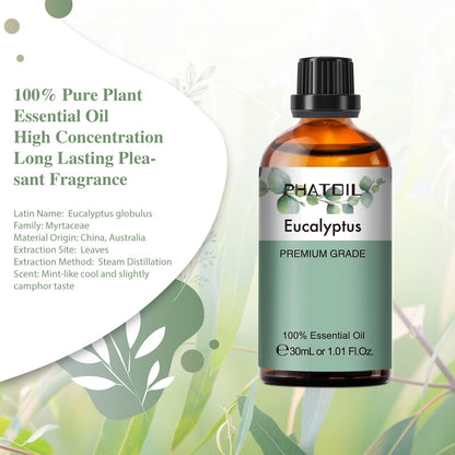 PHATOIL Eucalyptus Essential Oil 30ml – Pure Eucalyptus Oil for Diffusers, Aromatherapy & DIY Crafts