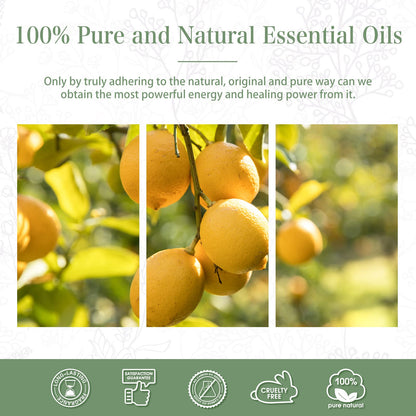 PHATOIL Lemon Essential Oil 30 mL | Pure Aromatherapy for Diffusers & DIY Crafts