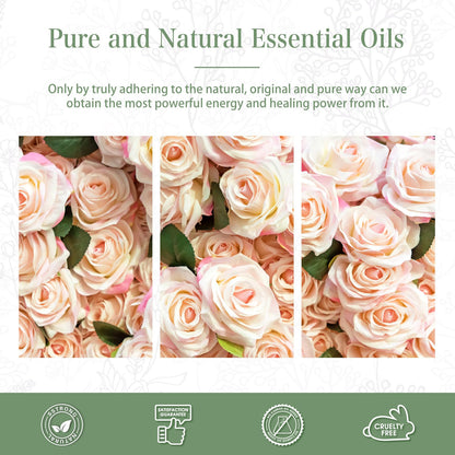 PHATOIL Rose Essential Oil 100ml with Glass Dropper – Aromatherapy, DIY Candles & Soaps