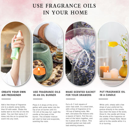 PHATOIL Sea Breeze Fragrance Oil – 100ml | Aromatherapy, Diffusers, DIY Candles & Soaps