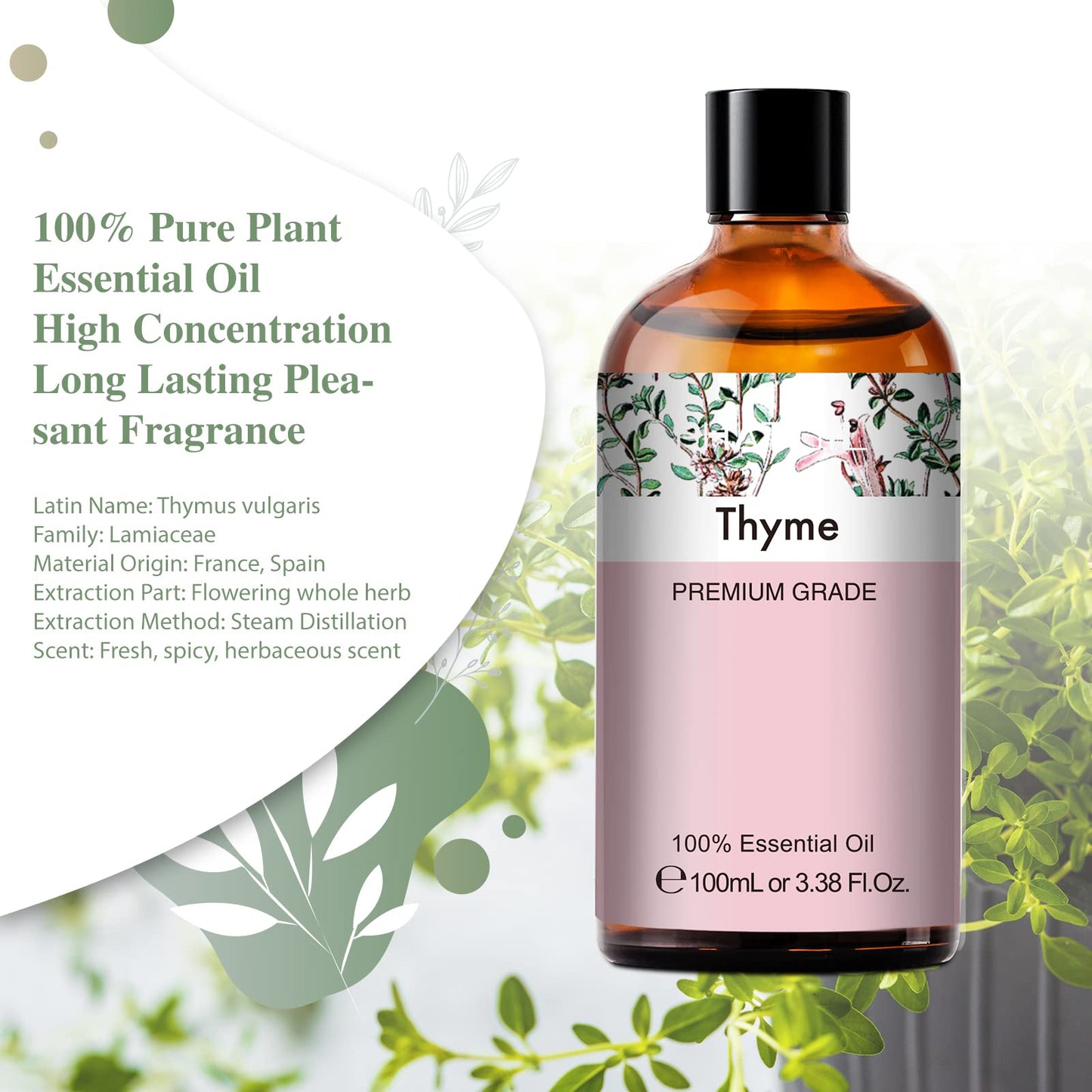 Thyme Essential Oil 100ml | PHATOIL Aromatherapy for Diffuser, DIY Soap & Candles