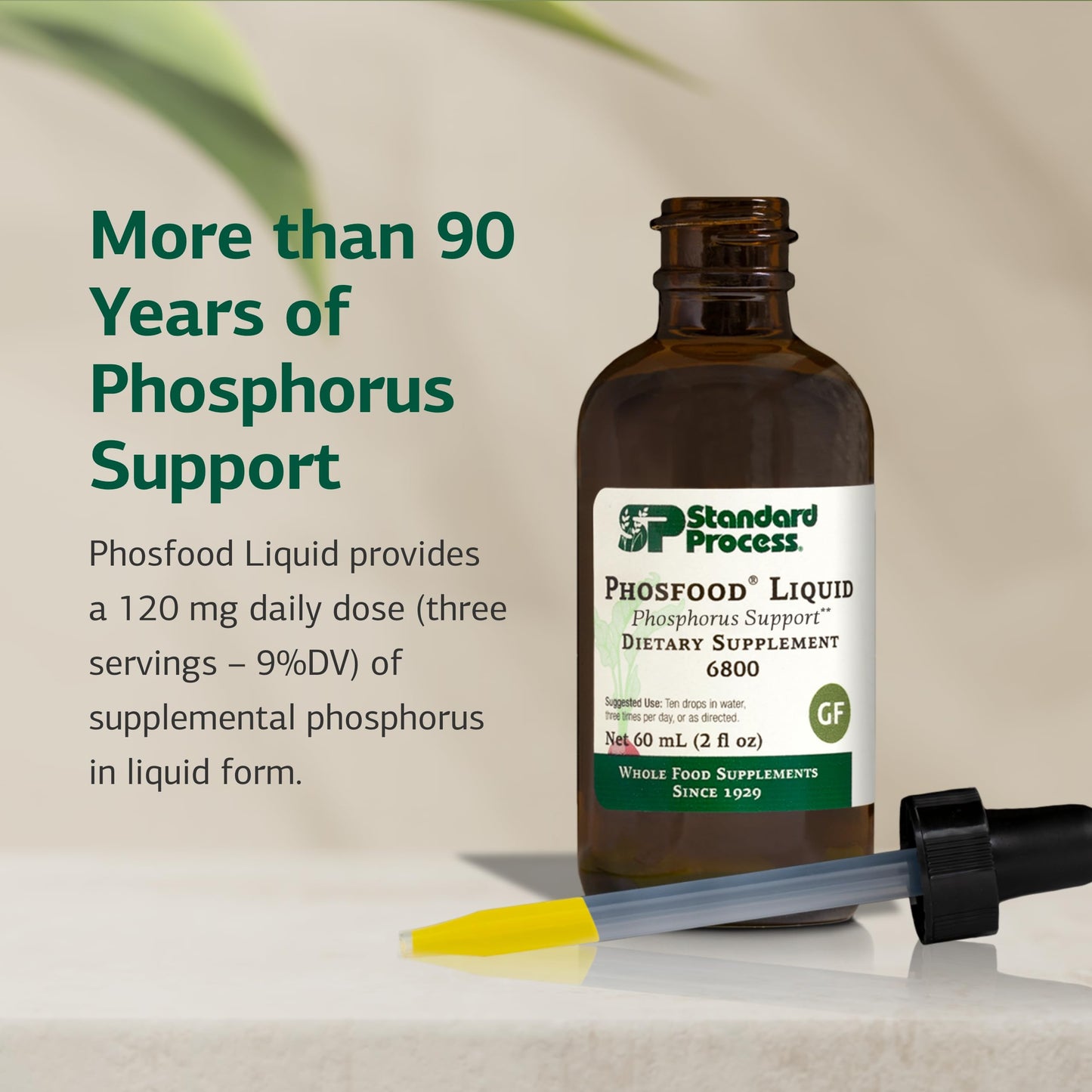 Phosfood Liquid – Phosphorus Supplement for Nutritional Balance (60 mL) | Gluten-Free, Vegan & Non-Soy | Standard Process