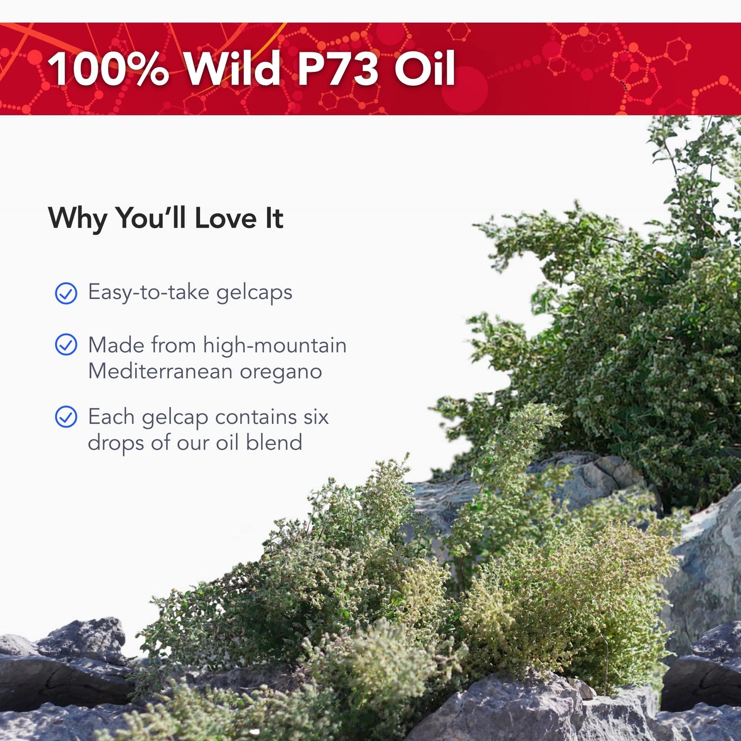 Physician's Strength Wild Oregano Gels – 60 Gelcaps | 100% Wild P73 Oil | Non-GMO