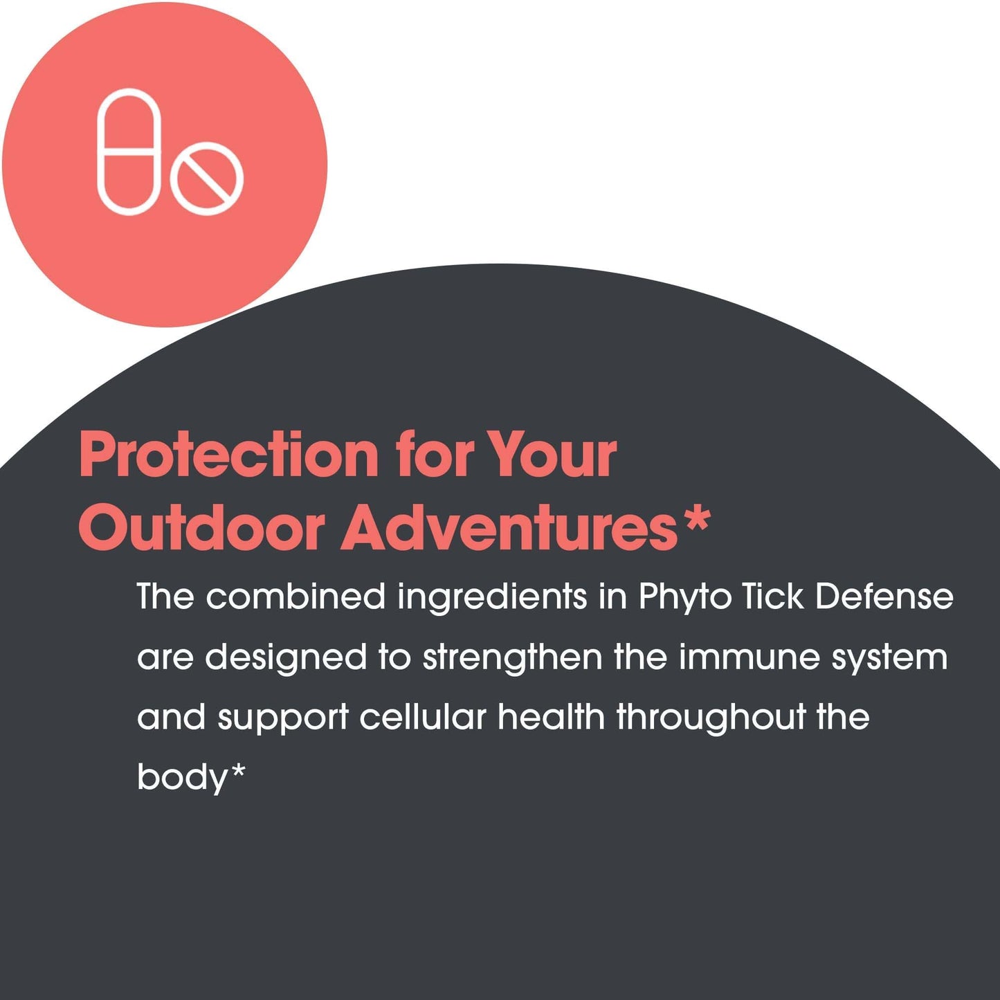 Phyto Tick Defense Mushroom Complex - Allergy Research Group | Lion's Mane & Cordyceps - 120 Vegetarian Capsules