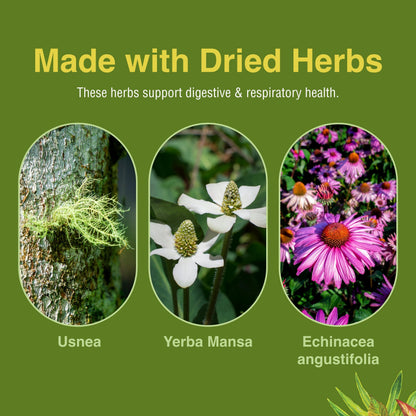 Herbs Etc. Phytocillin: Respiratory & Digestive Health Support | 120 Softgels