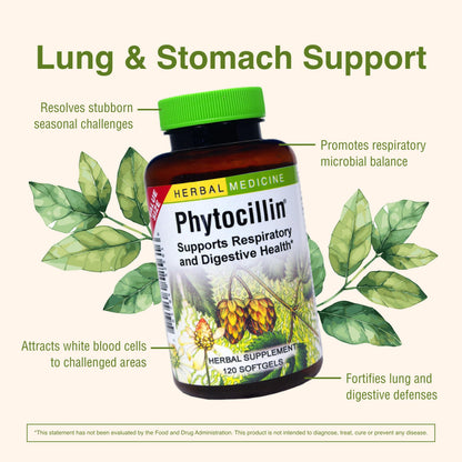 Herbs Etc. Phytocillin: Respiratory & Digestive Health Support | 120 Softgels