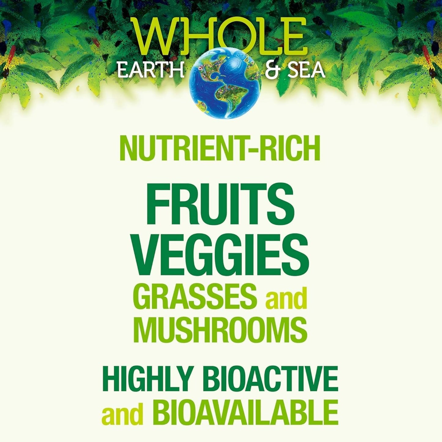 Whole Earth & Sea Organic Fermented Protein & Greens – Vanilla Chai