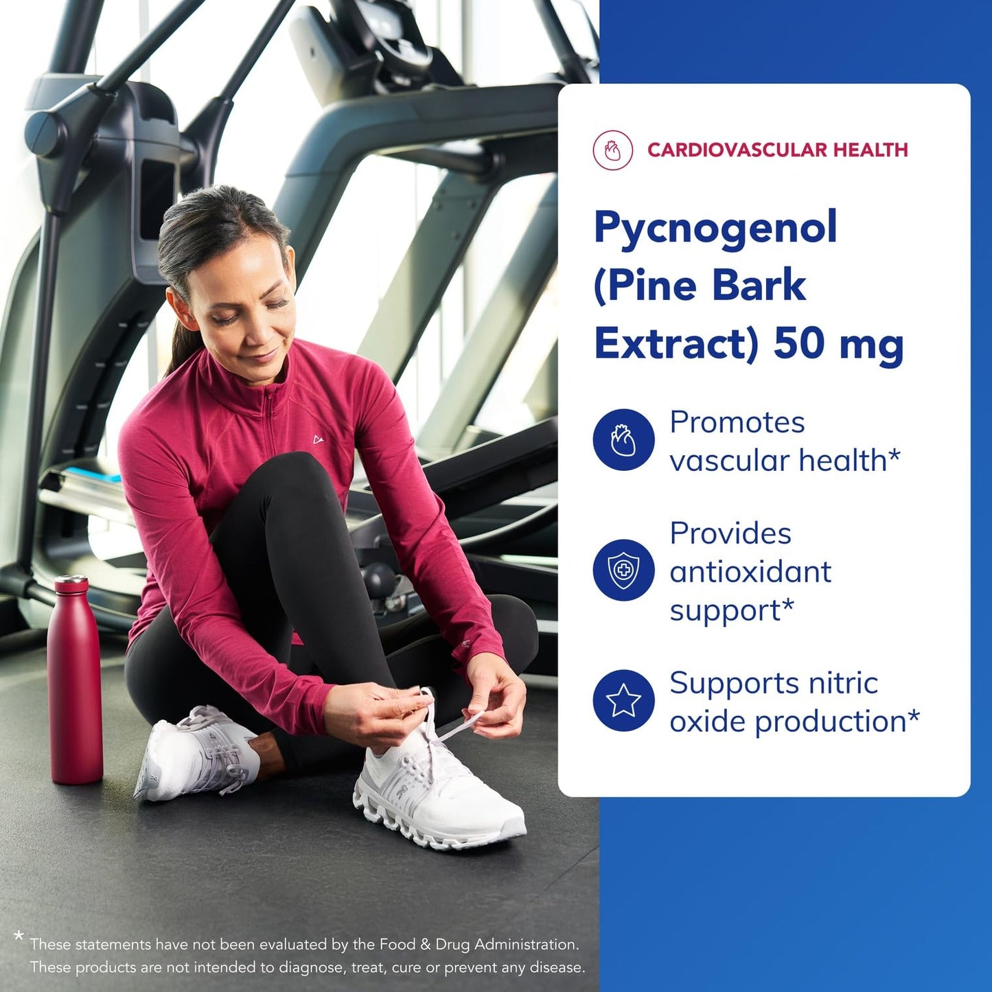Pure Encapsulations Pycnogenol (Pine Bark Extract) 50 mg | Hypoallergenic Supplement for Cognitive Function & Cardiovascular Health | 60 Capsules
