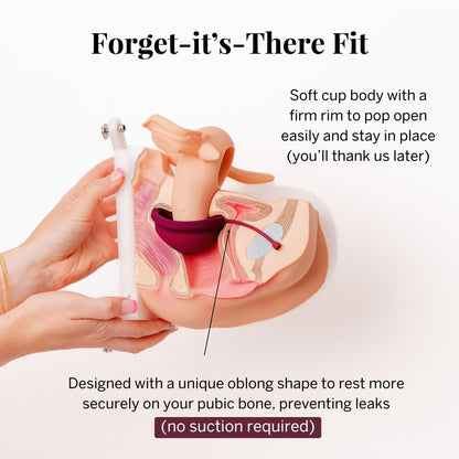 Pixie Menstrual Disc – 100% Medical-Grade Silicone, 12-Hour Wear, 5-Tampon Capacity (Ranked #1)