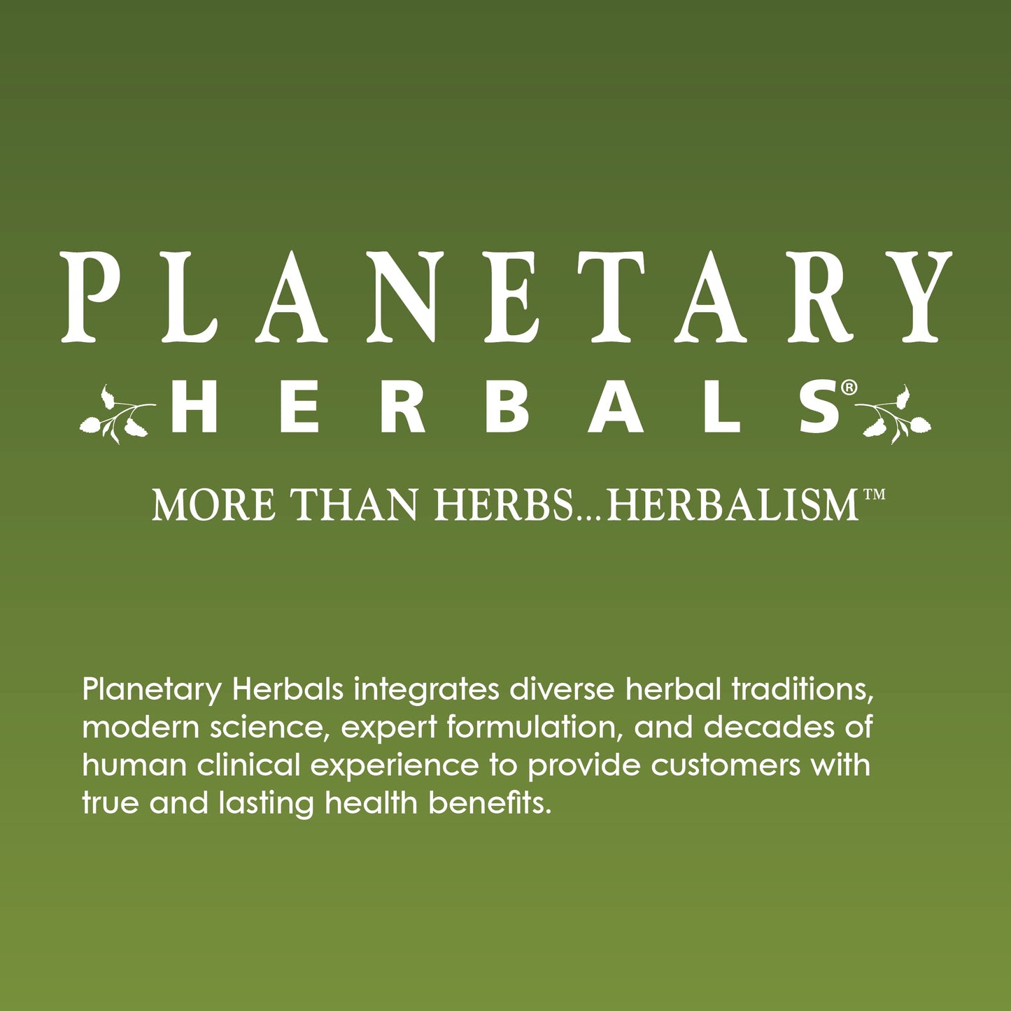 Planetary Herbals Full Spectrum Andrographis 400mg - Supports Digestive, Immune, Cardiovascular & Urinary Health - 120 Tablets