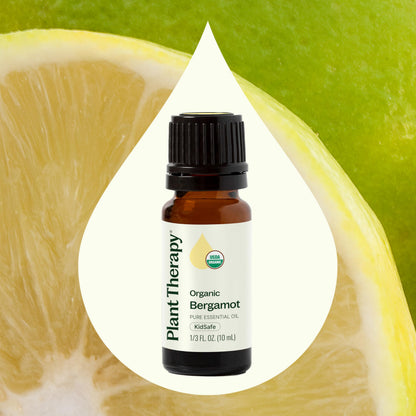 Plant Therapy Organic Bergamot Essential Oil 10 mL – 100% Pure, Undiluted, Therapeutic Grade