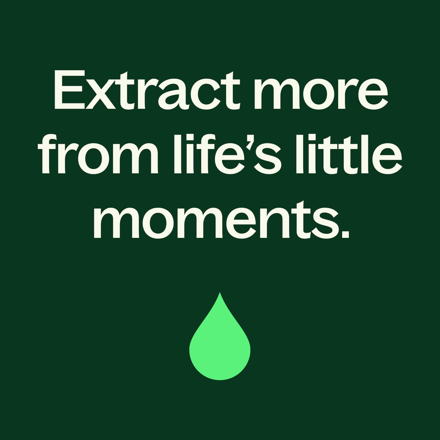 Plant Therapy Ginger Steam Distilled Essential Oil 10 mL (1/3 oz) 100% Pure, Undiluted, Natural Aromatherapy
