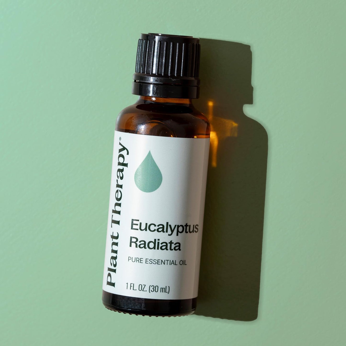 Plant Therapy Eucalyptus Radiata Essential Oil 30 mL (1 oz) - 100% Pure