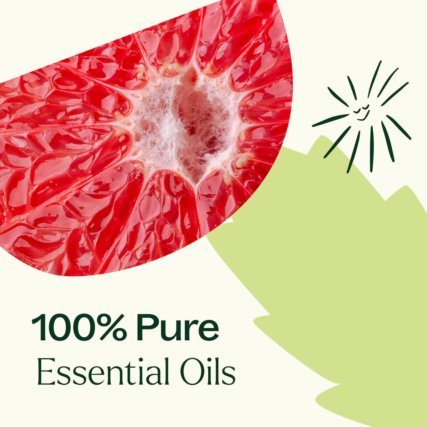 Plant Therapy Clarity Essential Oil Blend 10 mL – Pack of 2, 100% Pure & Undiluted