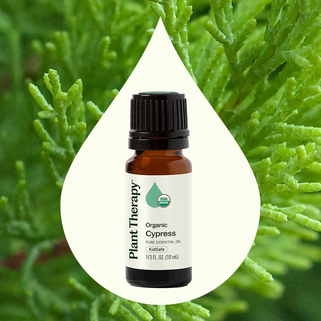 Plant Therapy Organic Cypress Essential Oil 10 mL (1/3 oz) – 100% Pure, Undiluted, Therapeutic Grade