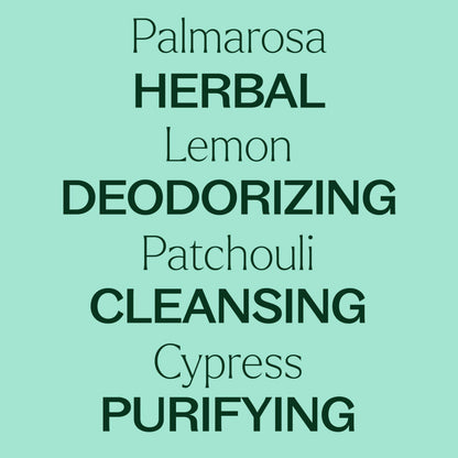 Plant Therapy Deodorizing Essential Oil Blend 30 mL – 100% Pure