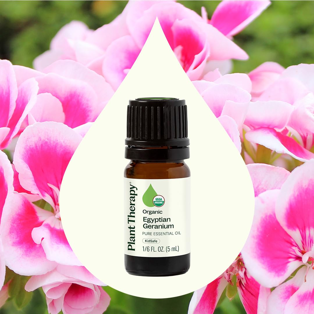 Plant Therapy Organic Egyptian Geranium Essential Oil - 100% Pure, USDA Certified Organic, 5 mL