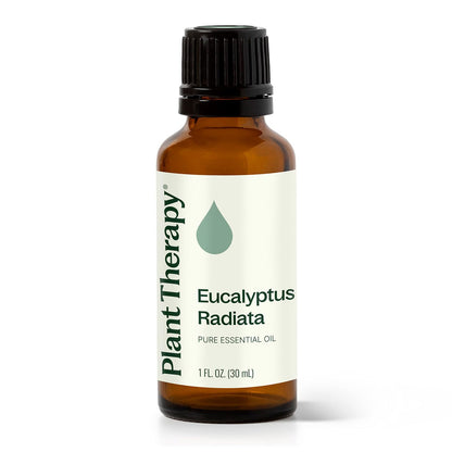 Plant Therapy Eucalyptus Radiata Essential Oil 30 mL (1 oz) - 100% Pure