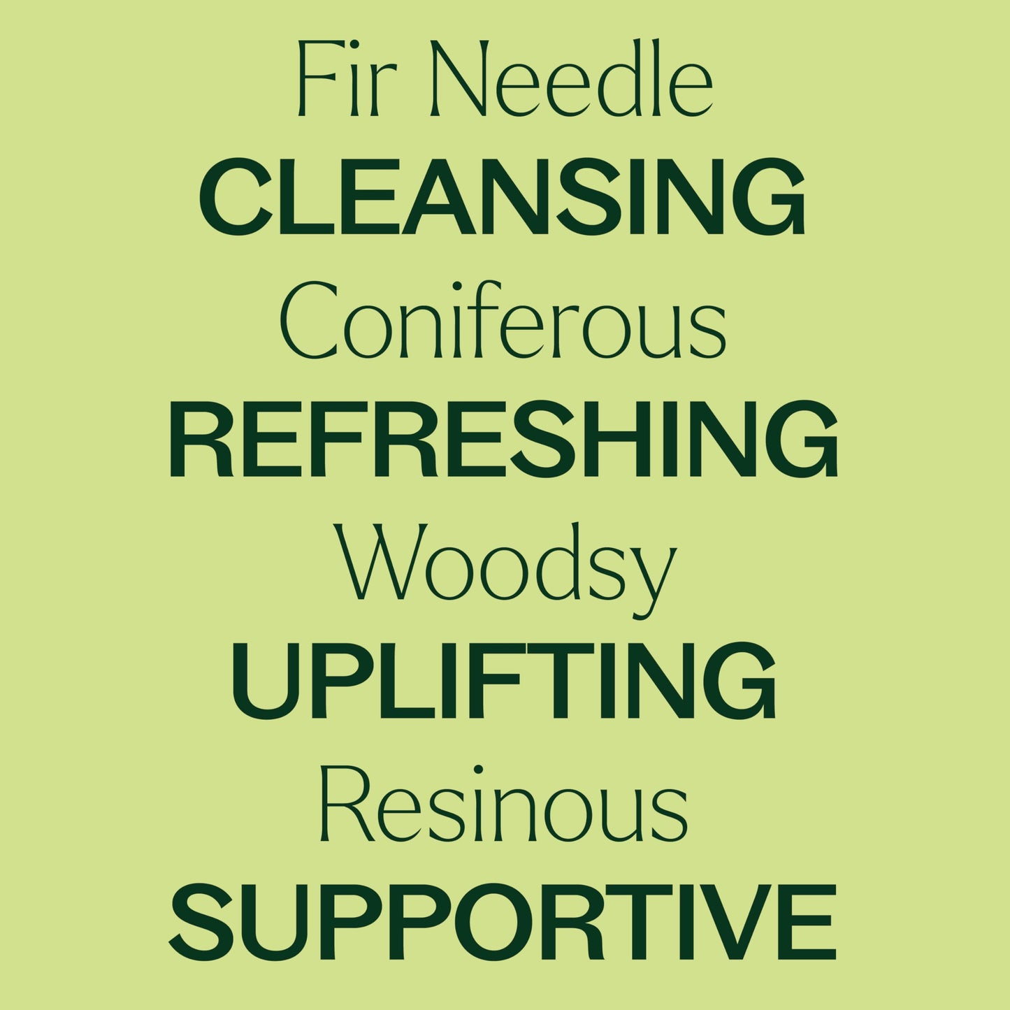 Plant Therapy Fir Needle Essential Oil 30 mL (1 oz) 2-Pack – 100% Pure, Therapeutic Grade