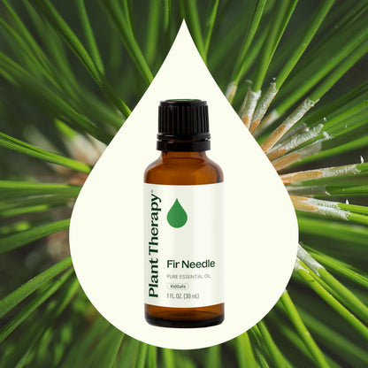 Plant Therapy Fir Needle Essential Oil 30 mL (1 oz) 2-Pack – 100% Pure, Therapeutic Grade