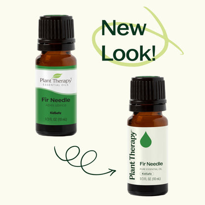 Plant Therapy Fir Needle Essential Oil 30 mL (1 oz) 2-Pack – 100% Pure, Therapeutic Grade