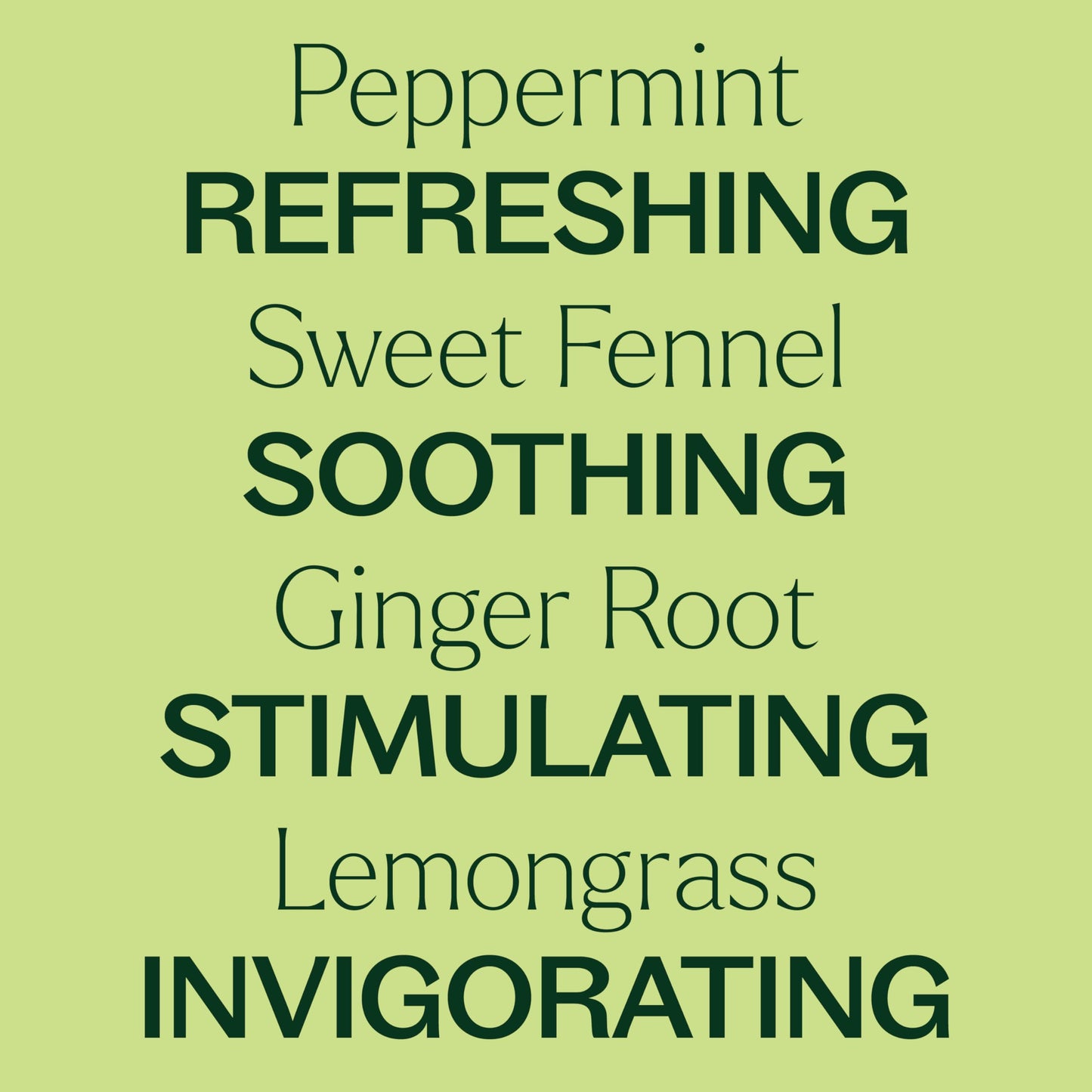 Plant Therapy Gut Aid Essential Oil Blend 30 mL - Digestive Comfort & Aromatherapy