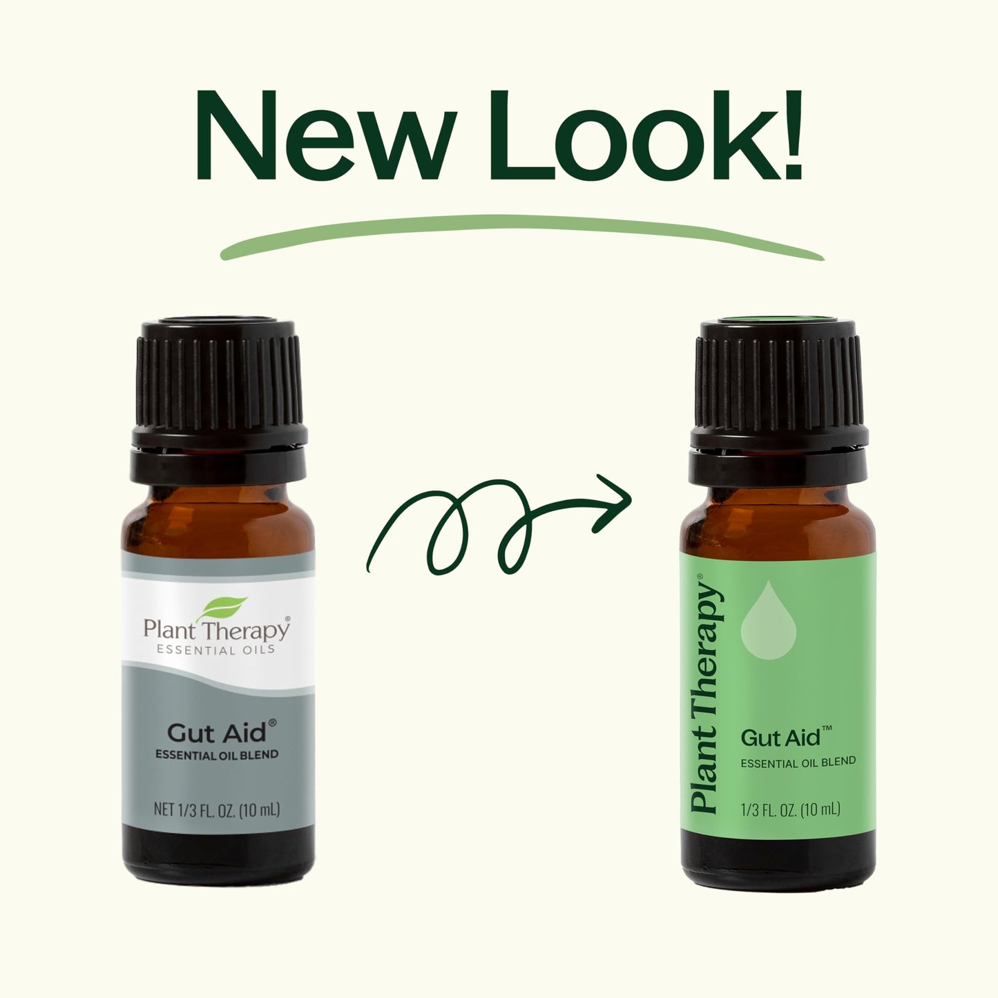 Plant Therapy Gut Aid Essential Oil Blend 30 mL - Digestive Comfort & Aromatherapy