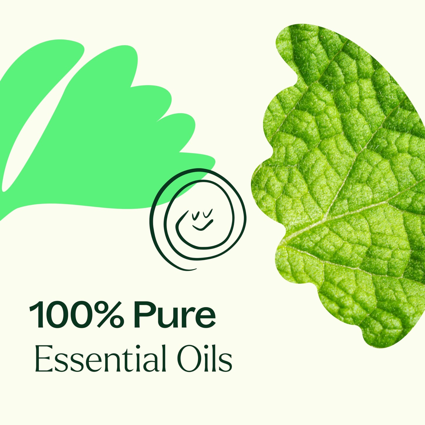 Plant Therapy Gut Aid Essential Oil Blend 30 mL - Digestive Comfort & Aromatherapy