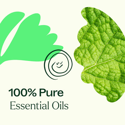 Plant Therapy Gut Aid Essential Oil Blend 30 mL - Digestive Comfort & Aromatherapy