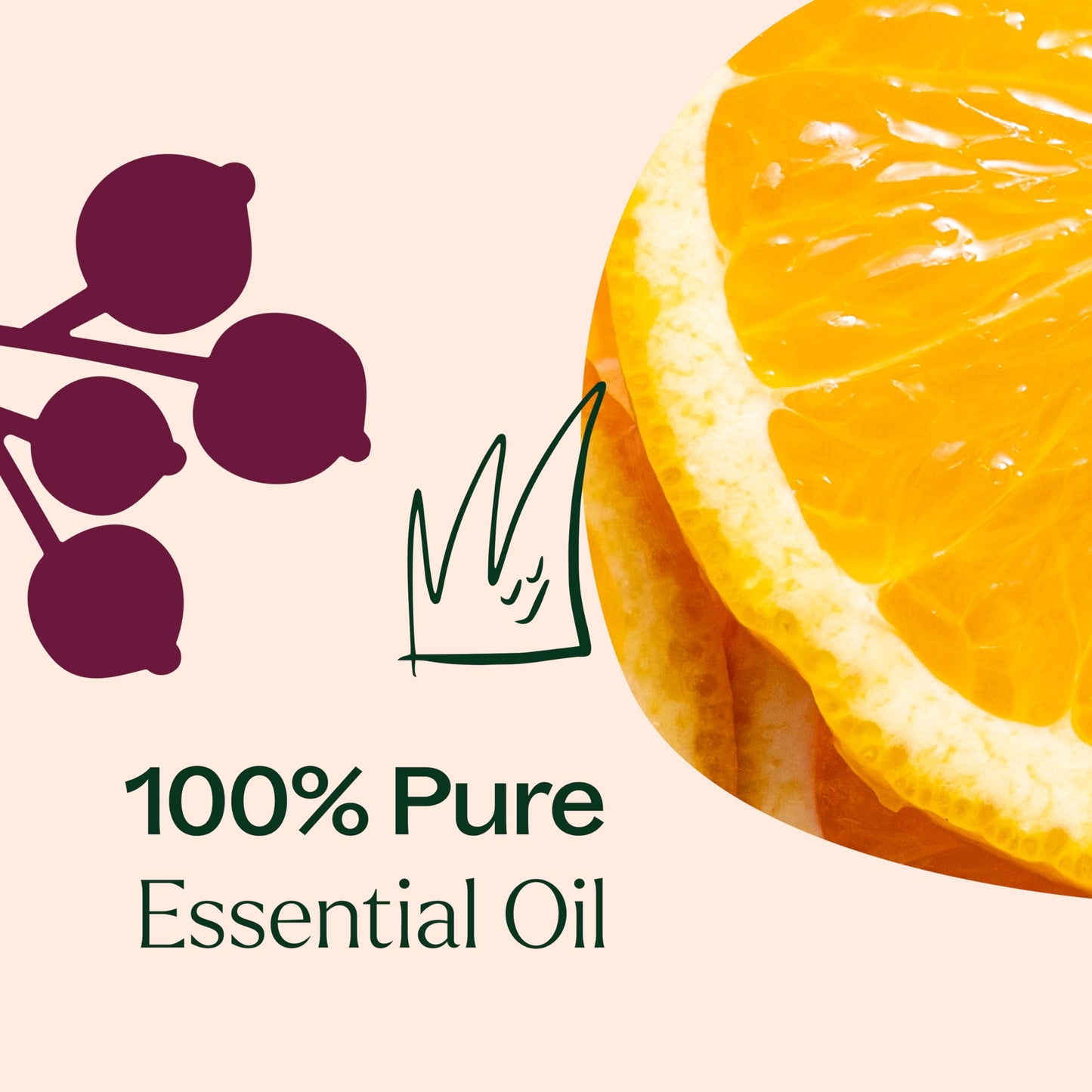 Plant Therapy Holiday Season Synergy Essential Oil 10 mL - 100% Pure, Undiluted, Therapeutic Grade