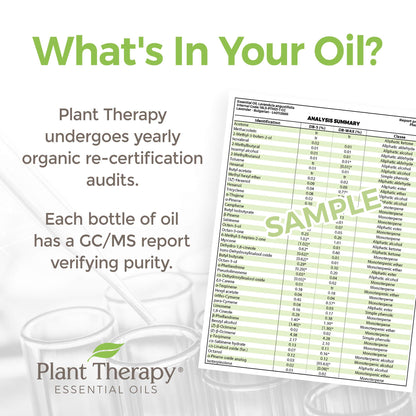 Plant Therapy KidSafe Destroyer Essential Oil Blend 10 mL | 100% Pure