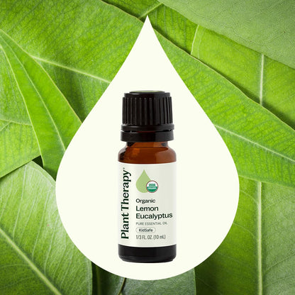 Plant Therapy Organic Lemon Eucalyptus Essential Oil - 10 mL, 100% Pure, USDA Certified Organic