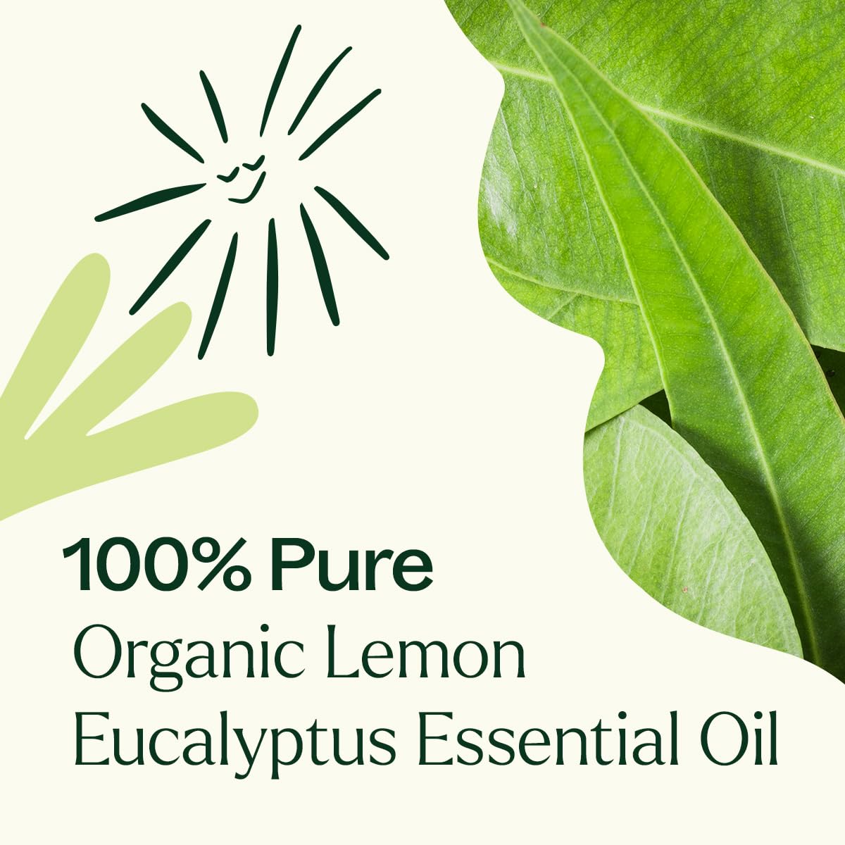 Plant Therapy Organic Lemon Eucalyptus Essential Oil - 10 mL, 100% Pure, USDA Certified Organic