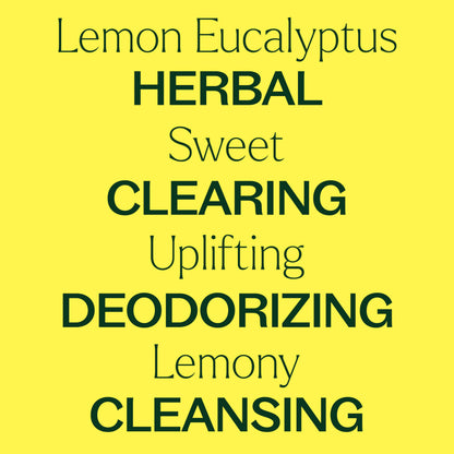 Plant Therapy Lemon Eucalyptus Essential Oil – 100% Pure, USDA Organic, 30 mL