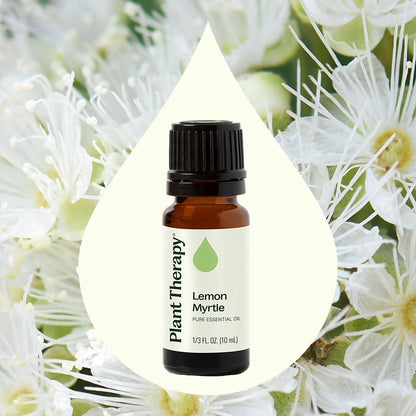Plant Therapy Lemon Myrtle Essential Oil 10 mL (1/3 oz) – 100% Pure, Undiluted, Therapeutic Grade
