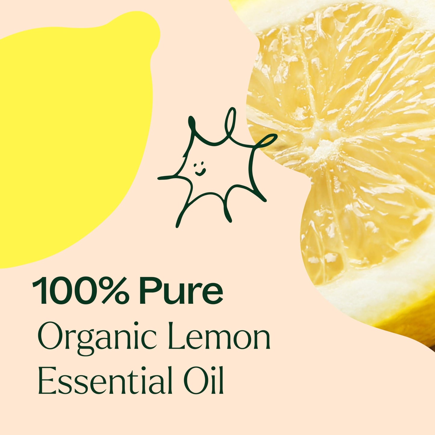 Plant Therapy Lemon Essential Oil – 100% Pure, USDA Organic, 30 mL